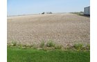 Property photo 5 - 172 Acres Offered in 3 Tracts - Prime Farmland